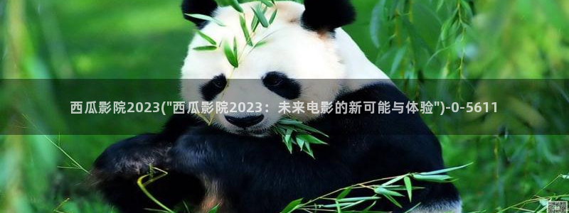 西瓜电影如何下载