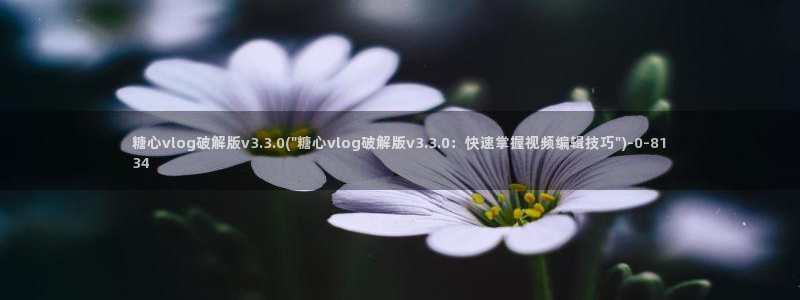 糖心vlog正版：糖心vlog破解版v3.3.0(\