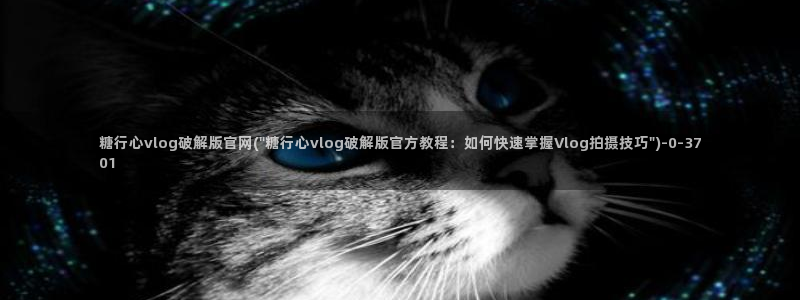 糖心vlog色版官网首页