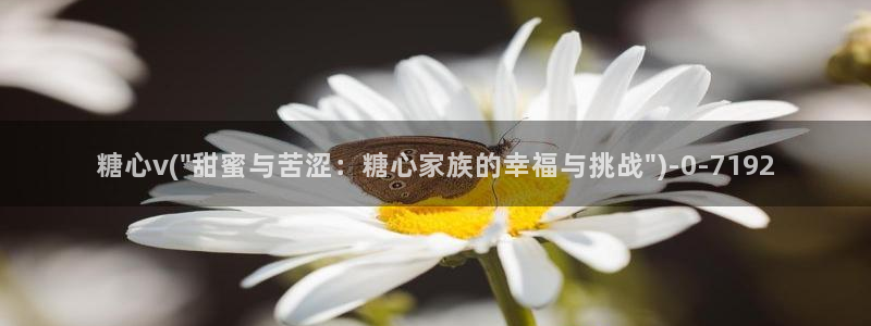 糖心vlog星辰
