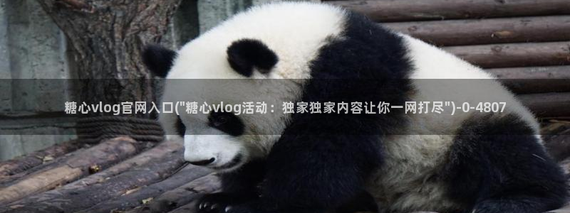 糖心vlog全部作品