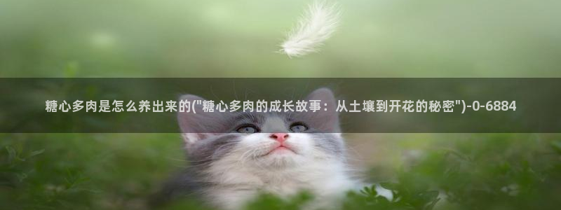 糖心vlog入口