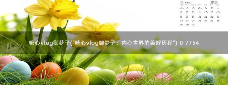 糖必vlog
