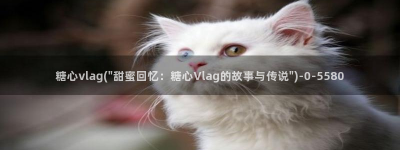 糖心vlog在线观看网站