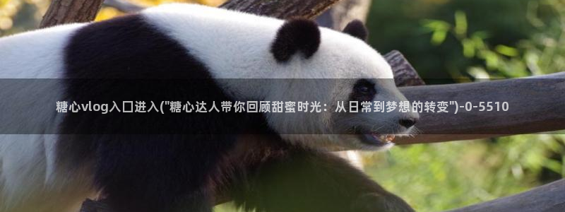 糖心 vlog破解版