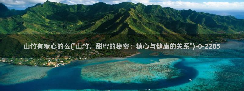 糖心vlog的网址