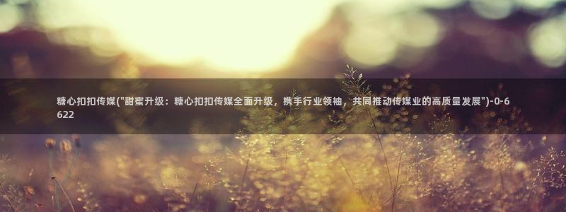 糖心vlog视频破解版