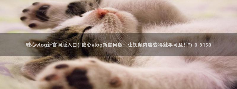 糖心vlog玩偶在线