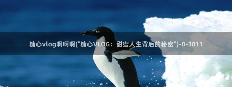 糖心vlog 破解版