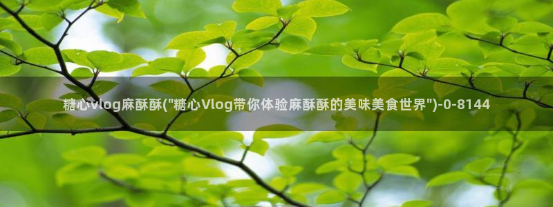 糖心在线vlog