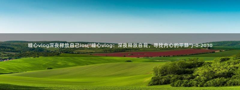 糖心vlog在线下载