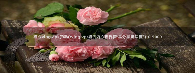心糖vlog免费版